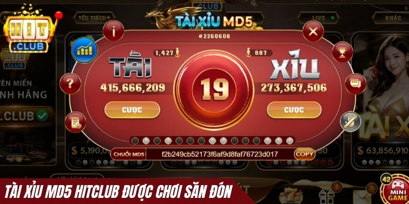 Tài xỉu MD5 Hitclub được săn đón